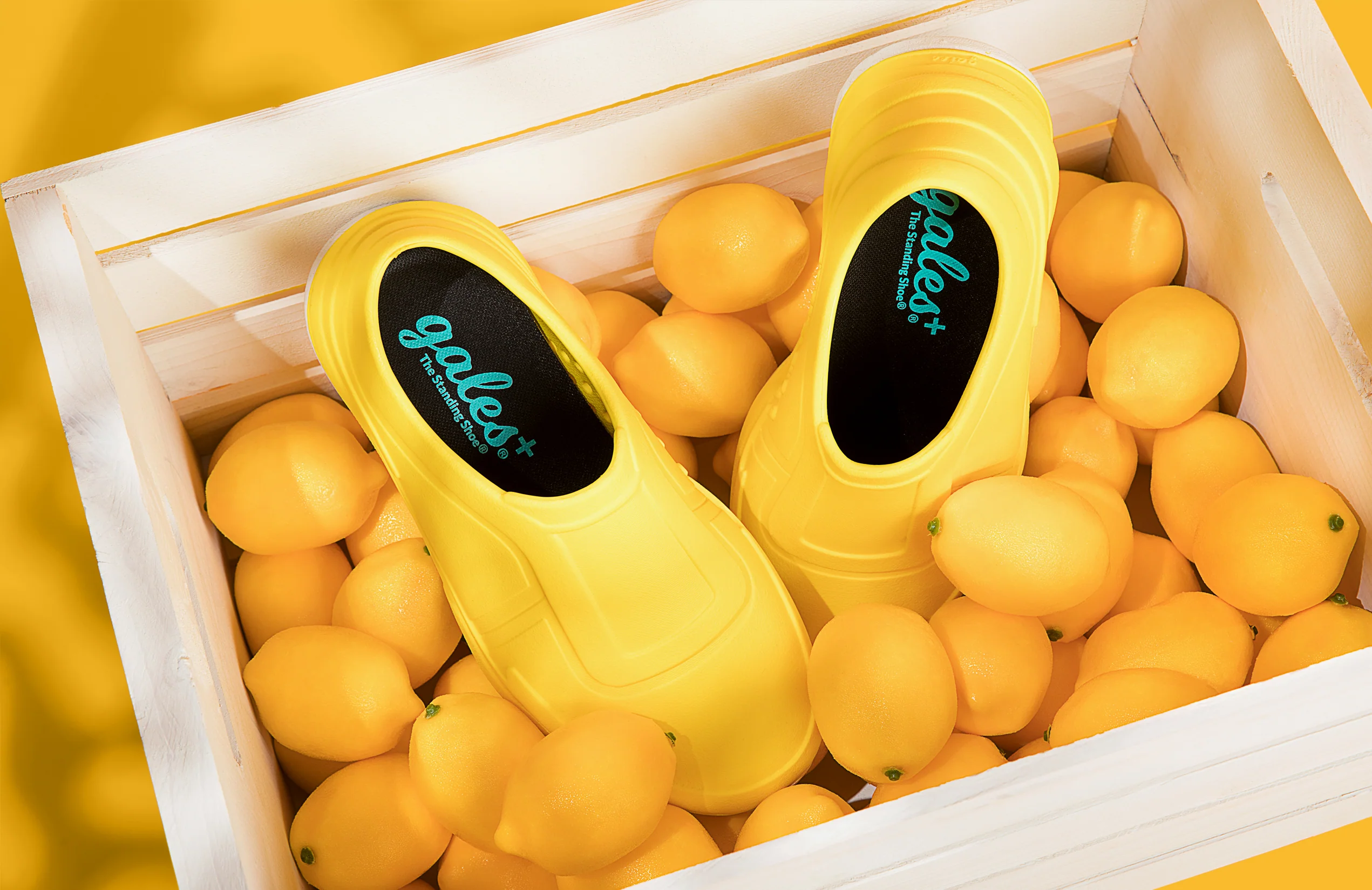 Gales Pro Line - Alex's Lemonade Stand - Lemon - Image 7